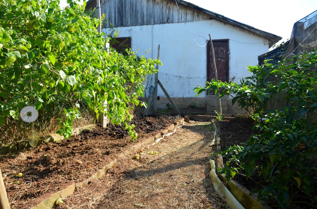 Uma horta em preparo, pronta para novas plantas, novos legumes, temperos, folhas, insetos, sol e chuva.