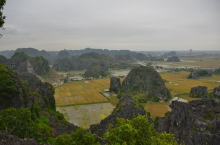 ninh binh, campos de arroz, arroz, tam coc, vietnam, montanhas