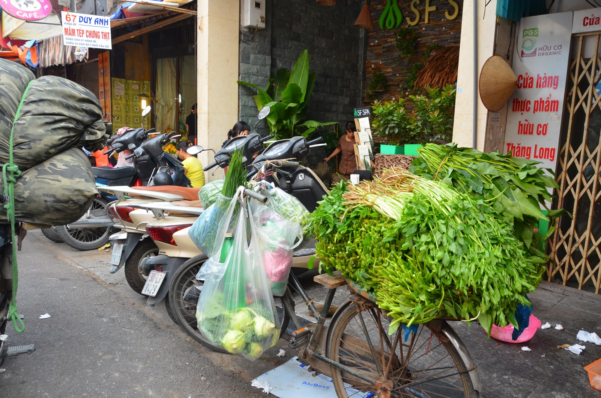 ervas aromáticas, tempero, bicicleta, vendedor de rua, comida de rua, vietnam, hanoi